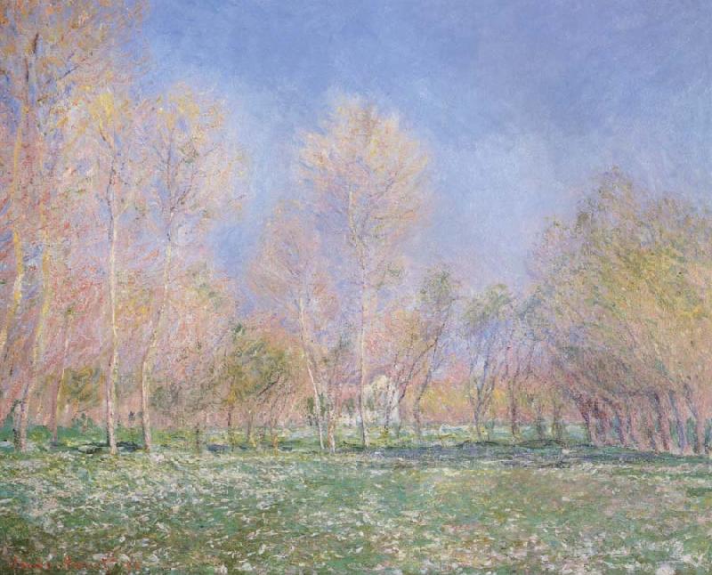 Claude Monet Spring in Giveryny France oil painting art